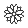 32px wellness
